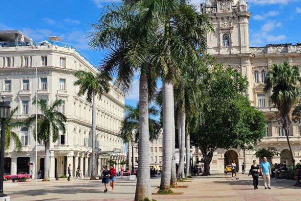 Parque Central Distance: 900 m